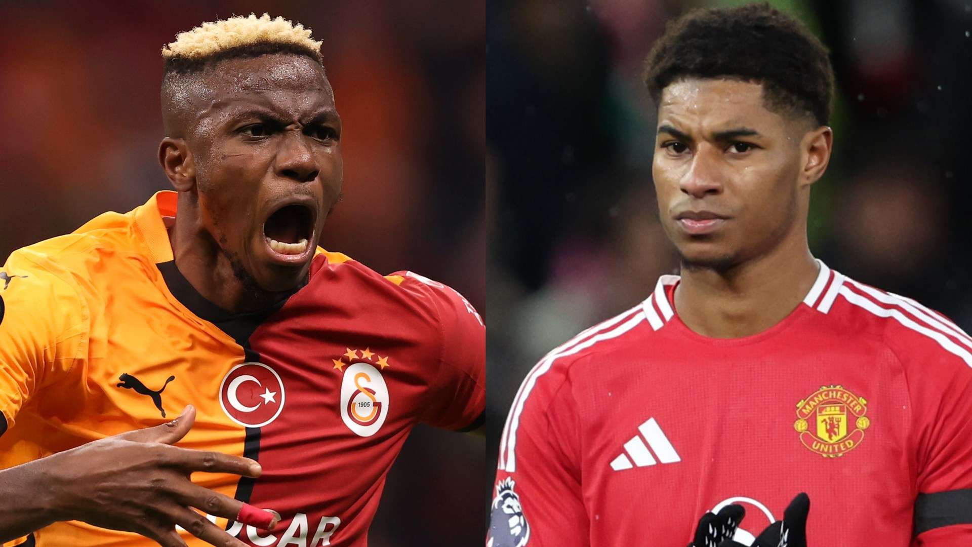 费内巴切的 费内巴切的