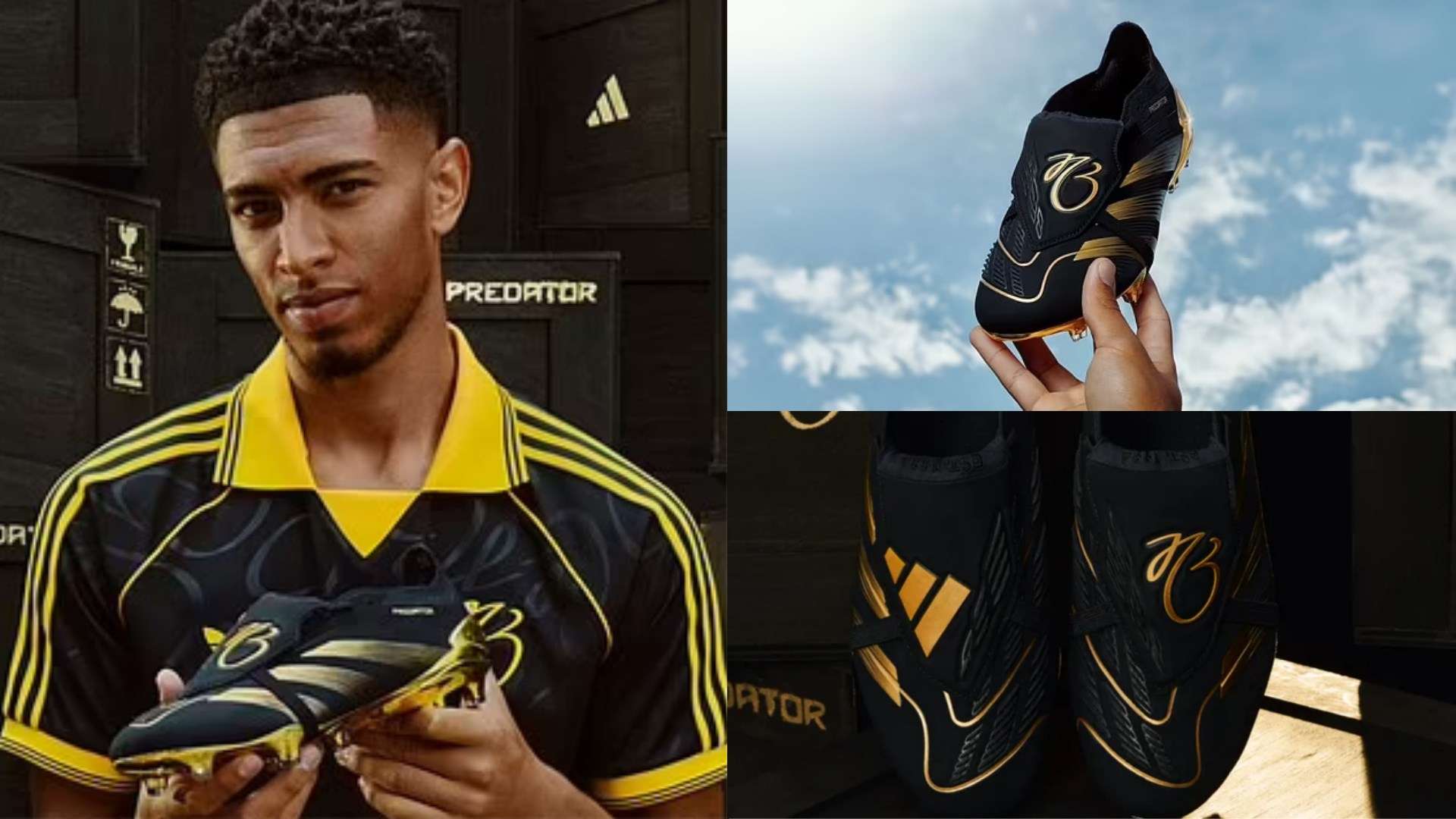 裁判员们直 裁判员们直